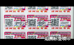 K2可变数据喷印系统技术参数Technical Parameters
